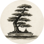 bonsai Mireia López Vida Macrobiótica